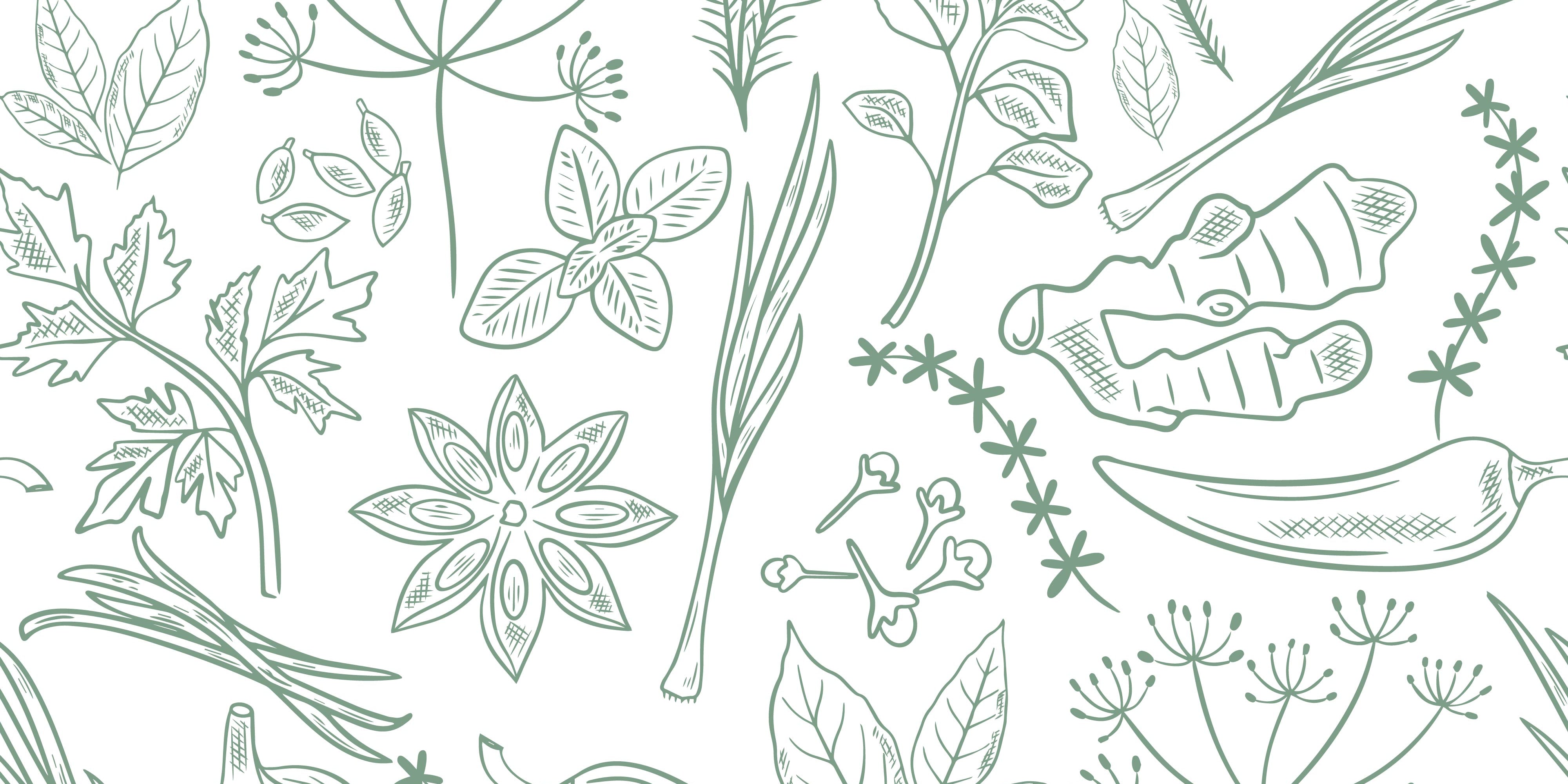 02_15_22_herbs_sketch_pattern.jpg
