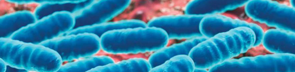 Understanding the significance of microbes in women’s reproductive health