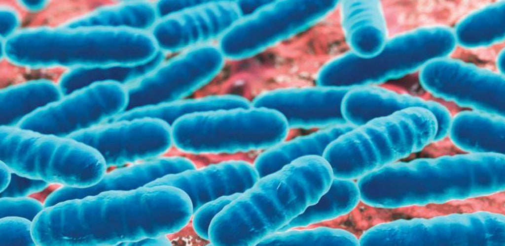 Understanding the significance of microbes in women’s reproductive health