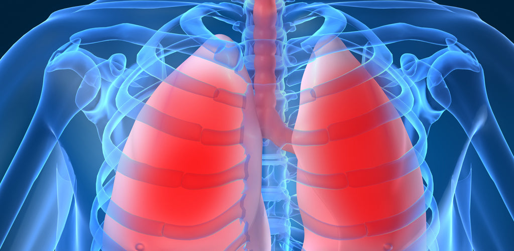 Strengthening your Respiratory system – important in giving the COVID 19 a good fight