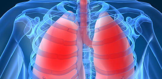 Strengthening your Respiratory system – important in giving the COVID 19 a good fight