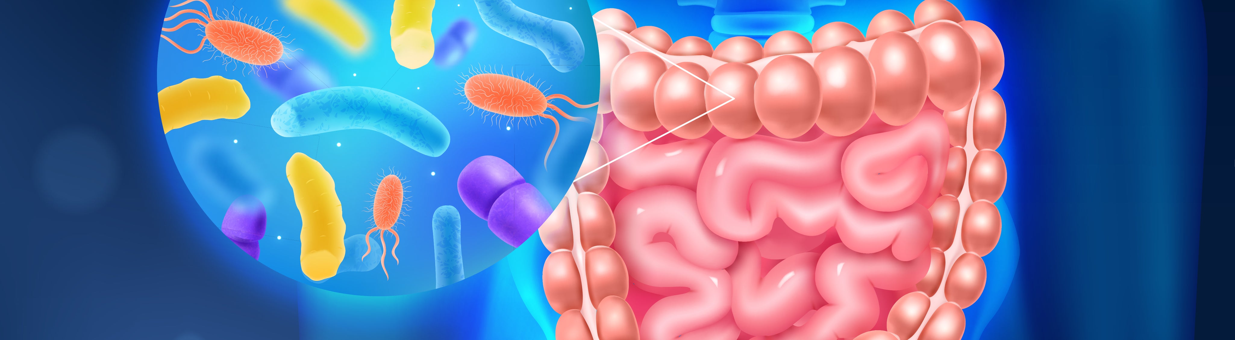 Gut Health and the SOMAVIT SGC Connection