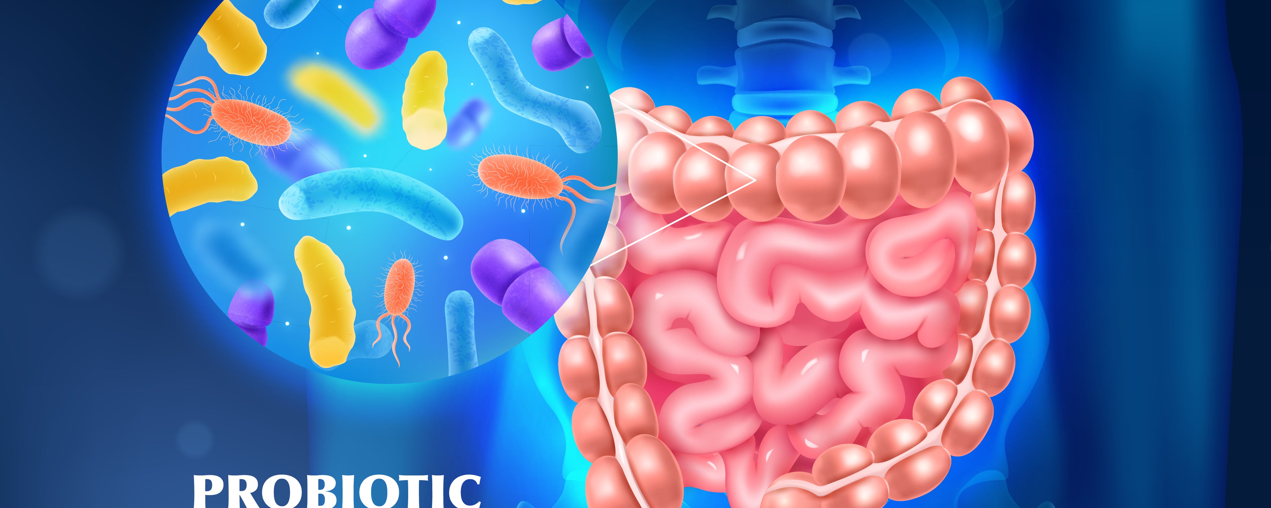Gut Health and the SOMAVIT SGC Connection