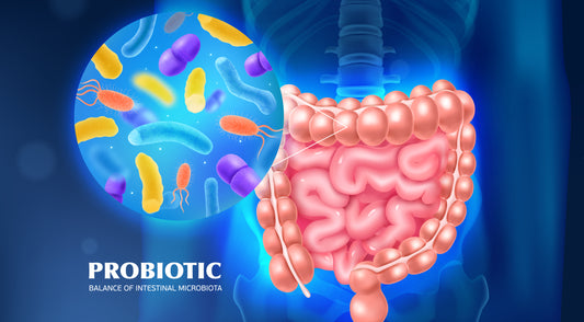 Gut Health and the SOMAVIT SGC Connection