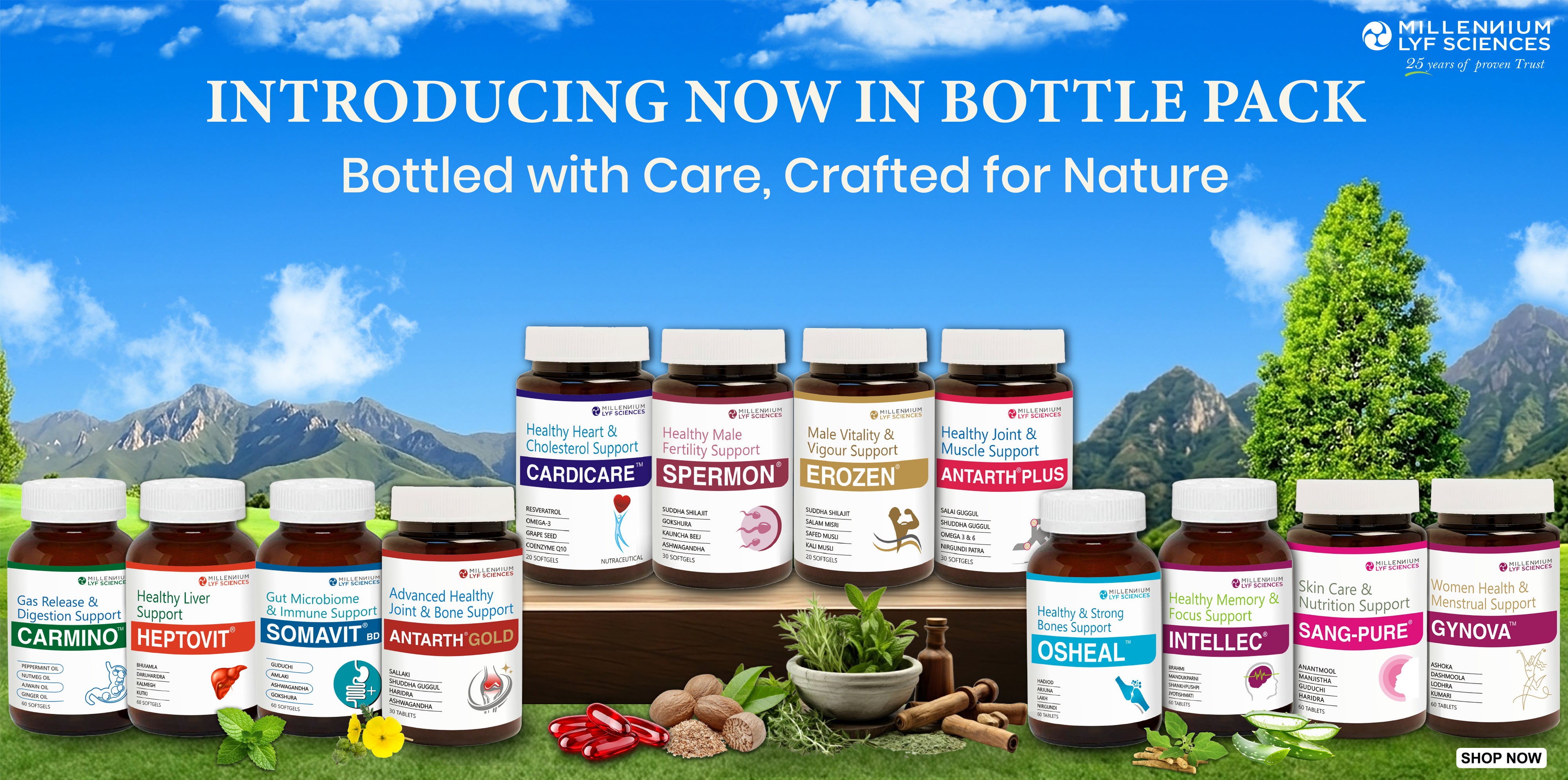 12_Bottle_Banner.jpg