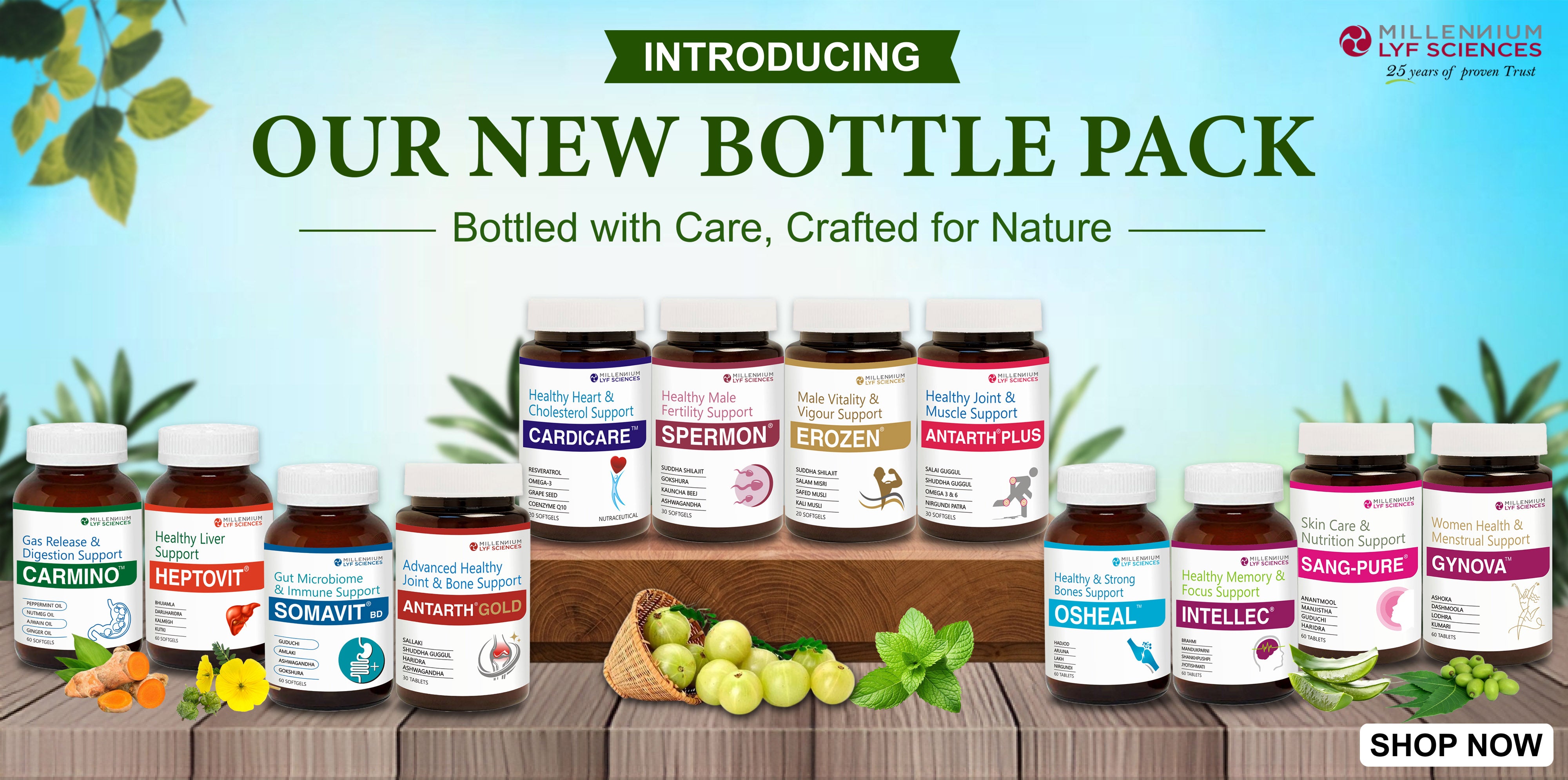 12_Bottles_2_copy_2.jpg