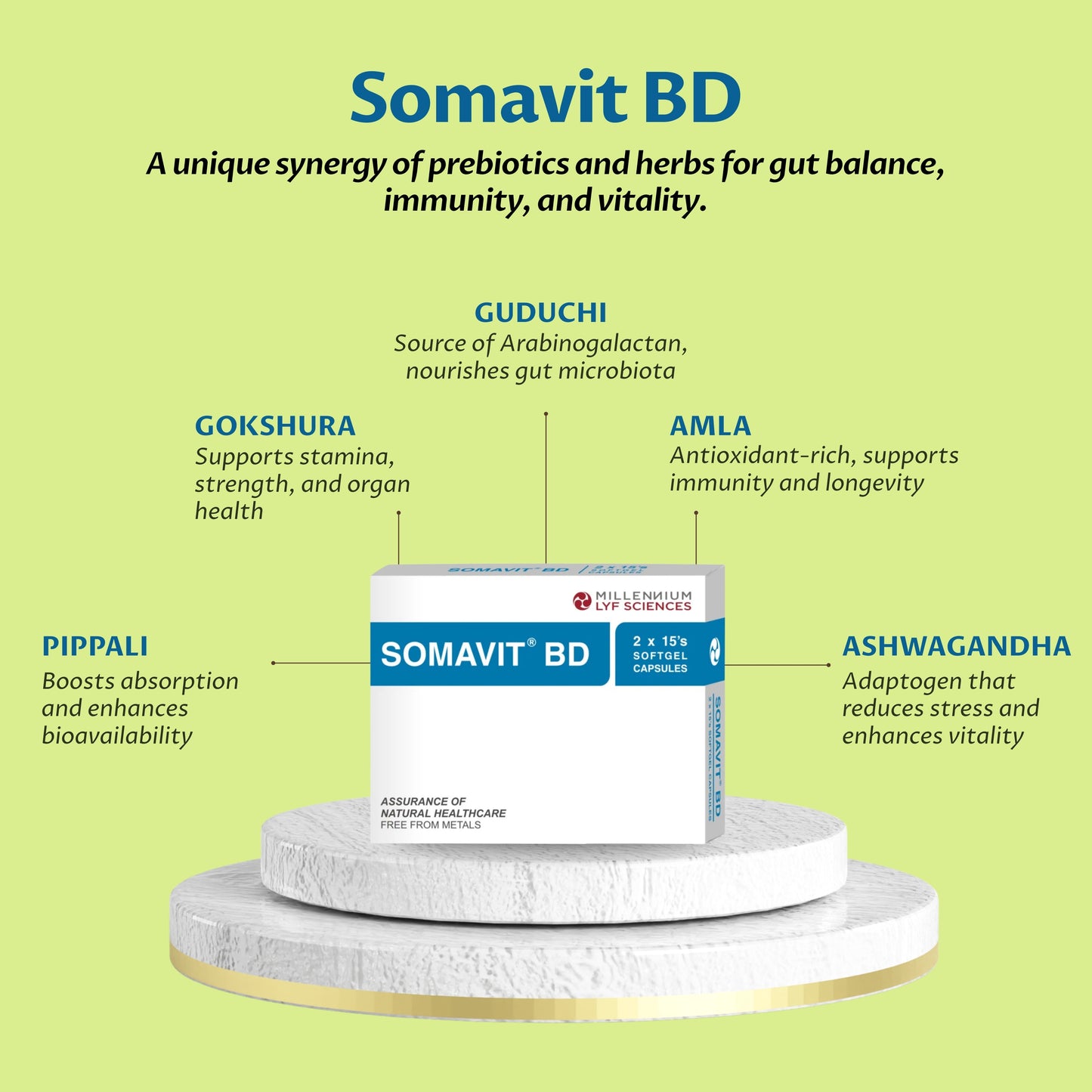 SOMAVIT BD | Easy to swallow | 60 capsule