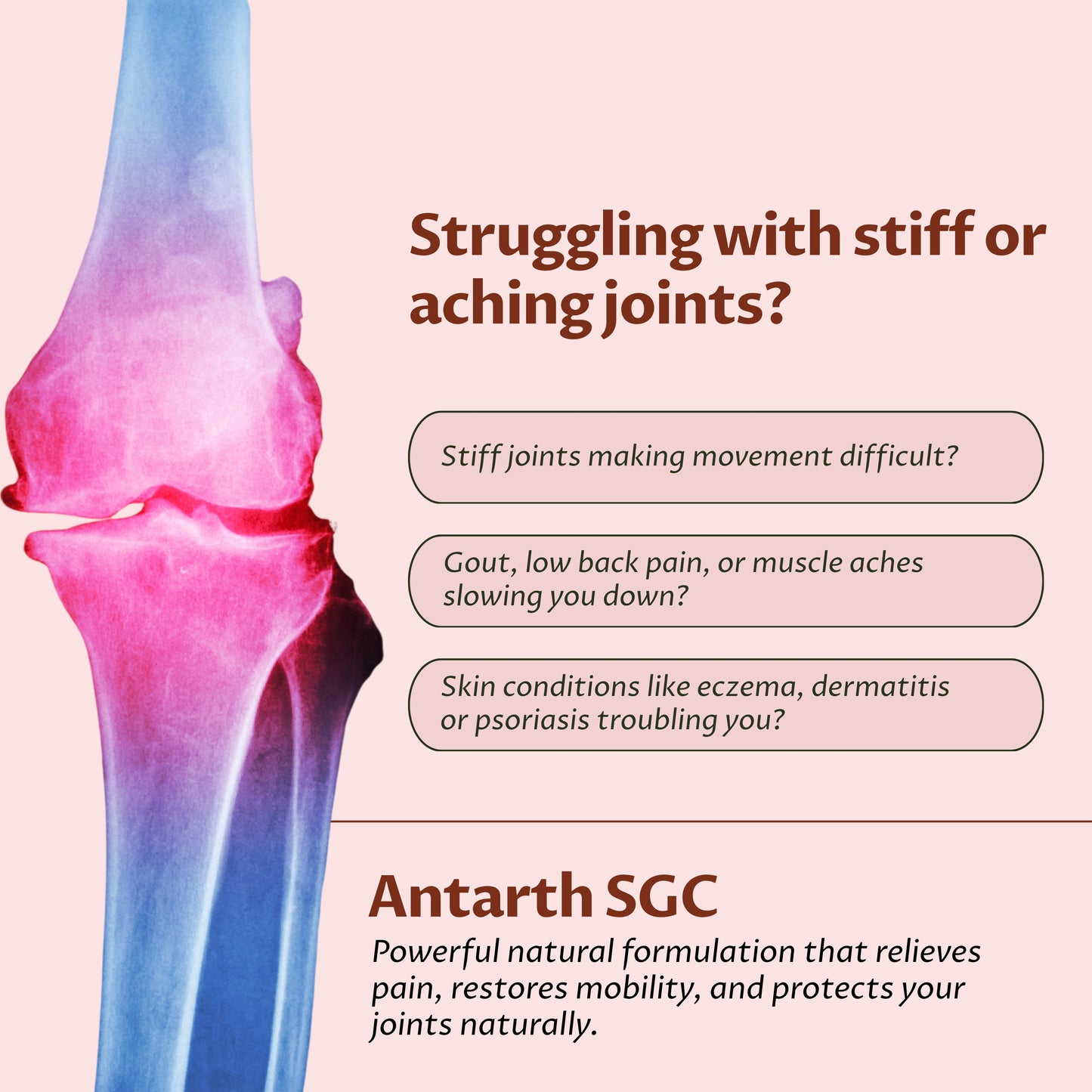 ANTARTH SGC | 120 Capsules