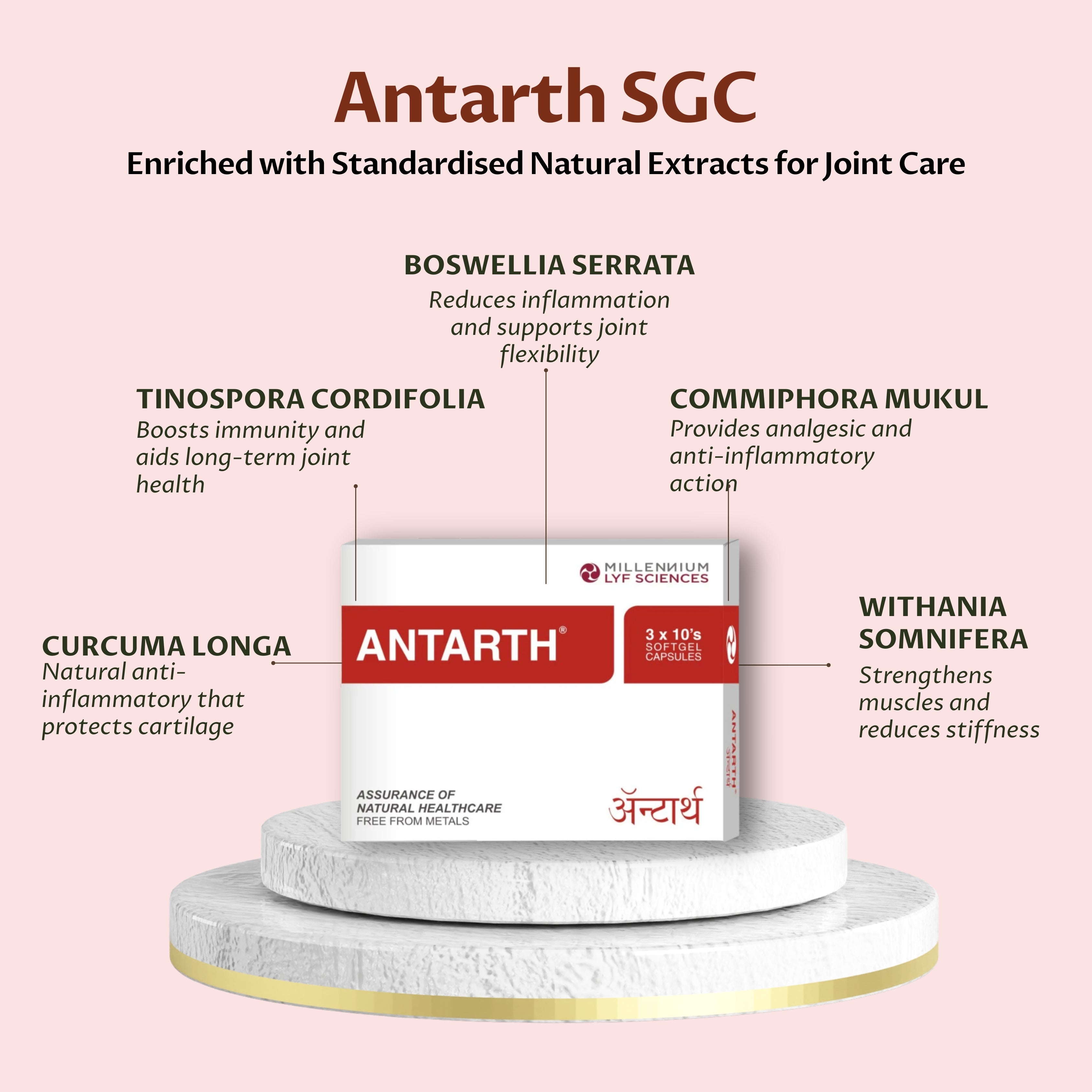 ANTARTH SGC | 120 Capsules