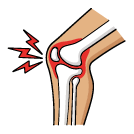 Joint &amp; Bone Health