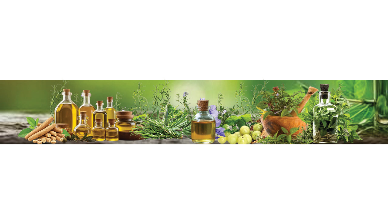 Title_Banner_copy_3.jpg